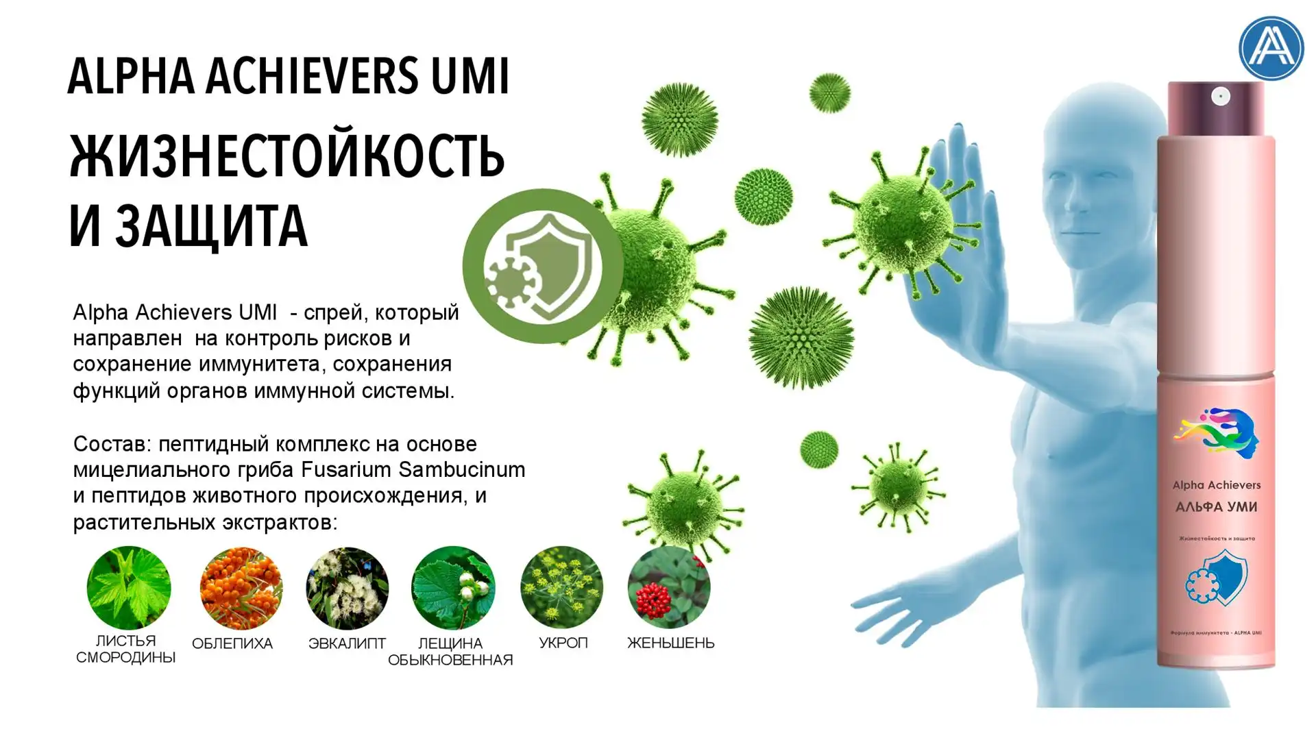 Alpha Achievers UMI- направлен на поддержание и восстановление иммунной системы